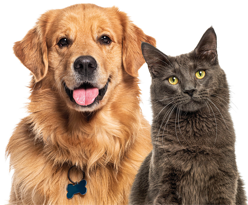 WWP_3_26_Ewelina_Cofala_OMEGA-3_W_DIECIE_PSA_I_KOTA_RYC_2