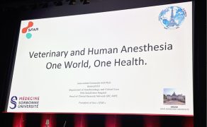 WWP_3_26_vet-relacje_Robert_Kraczkowski_WCVAA_FOT_3