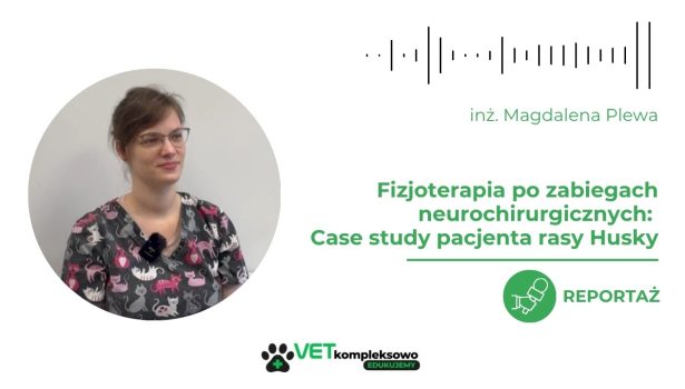 fizjoterapia