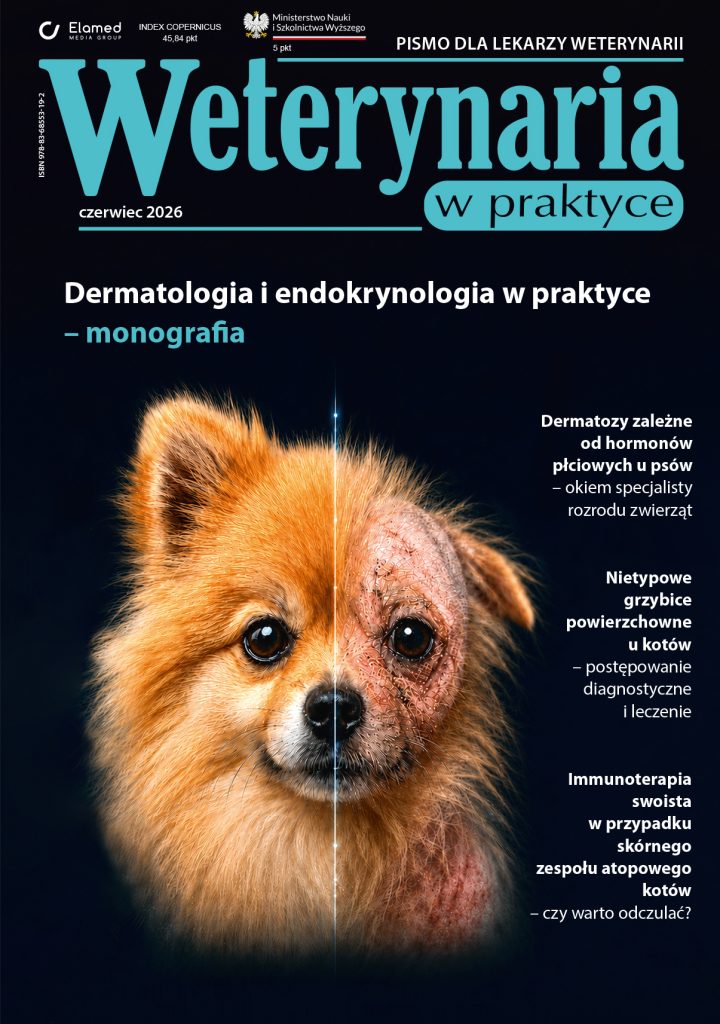 monografia