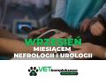 nefrologii i urologii