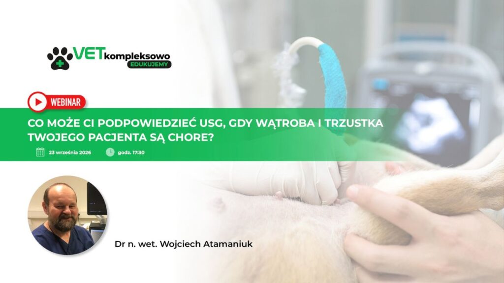 USG wątroby i trzustki