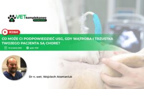 wątroba i trzustka